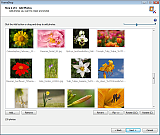 Select Photos - Add photos to your show.